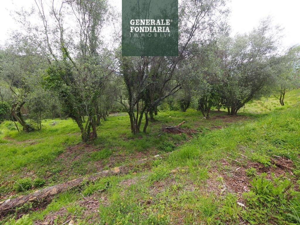 Terreno agricolo, bolano