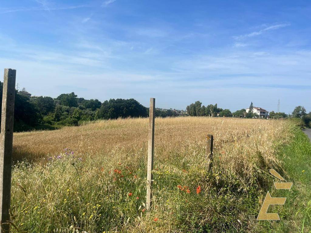 Terreno agricolo via fossignano, fossignano, aprilia
