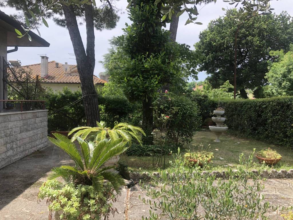 Giardino