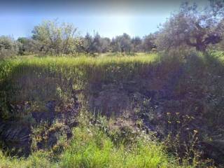Terreno agricolo con uliveto