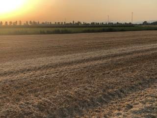 38b7e52d ed5e 4efb a7bb 47cb6b699018