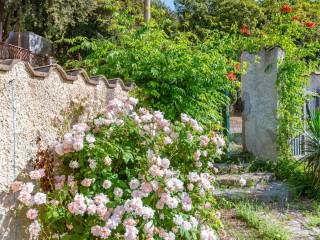 Ingresso proprietà