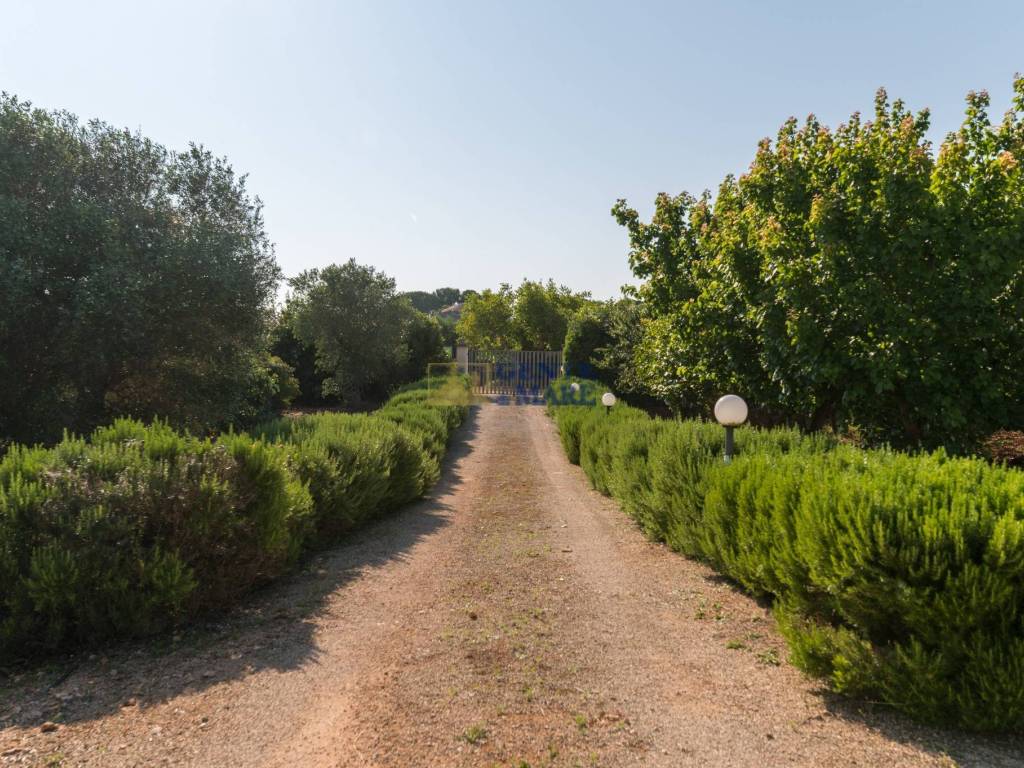 Casale Amor di Ostuni