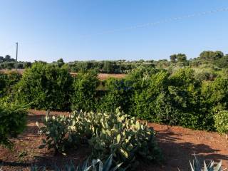 Casale Amor di Ostuni