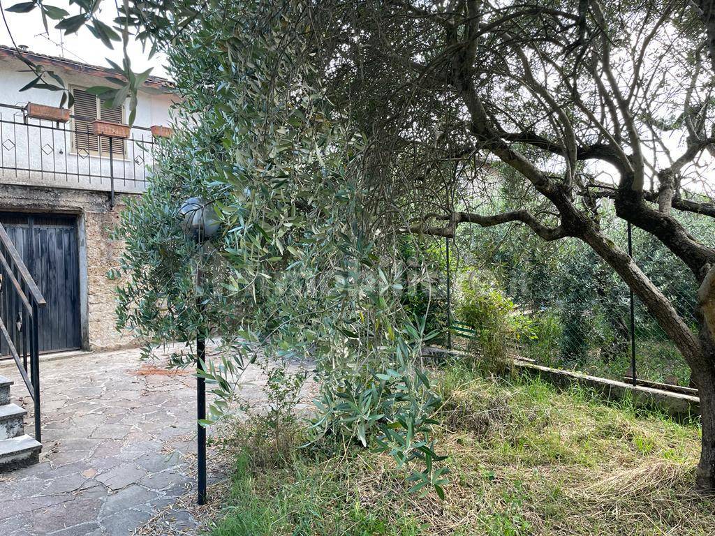 giardino