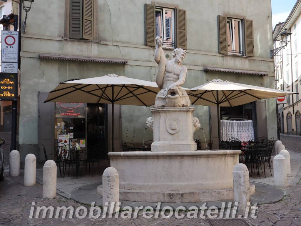 fontana del delfino