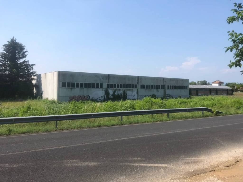 Capannone via 4 novembre 4, poggio terzarmata, sagrado