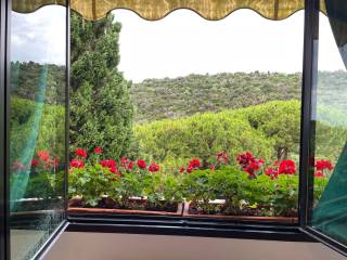 Foto - Vendita Quadrilocale con giardino, Castiglione della Pescaia, Maremma e Argentario