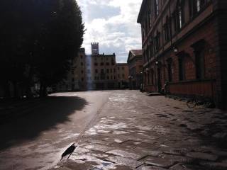 lucca