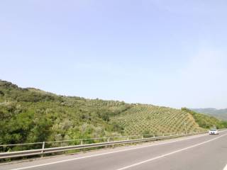 vista