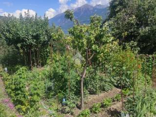 Terreno agricolo