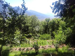 Terreno agricolo