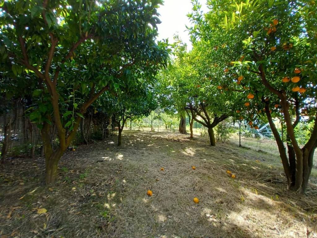 Terreno agricolo via nuoro, ascoli piceno