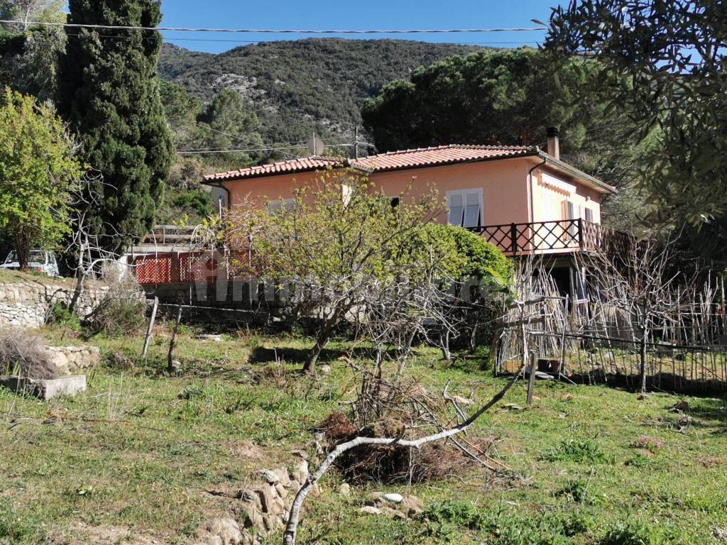 casa intera con terreno