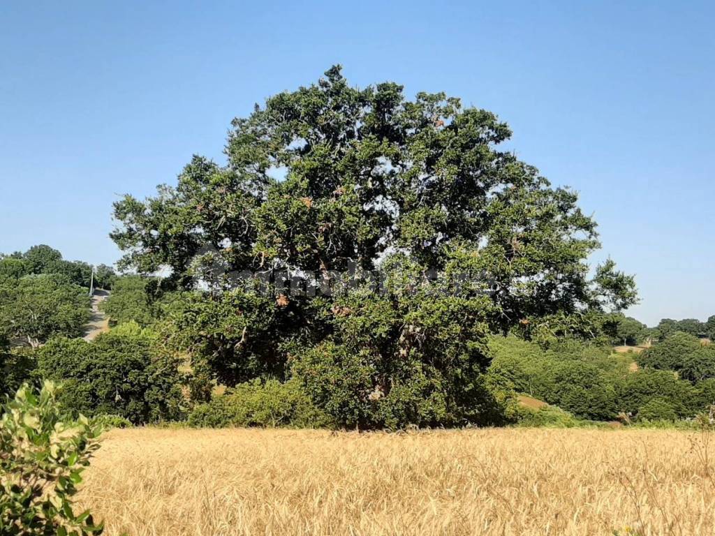 Vista Terreno