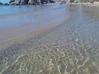 Licata