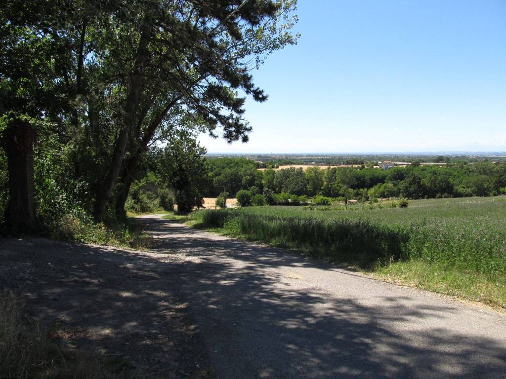 Terreno agricolo via brugo, spineto scrivia