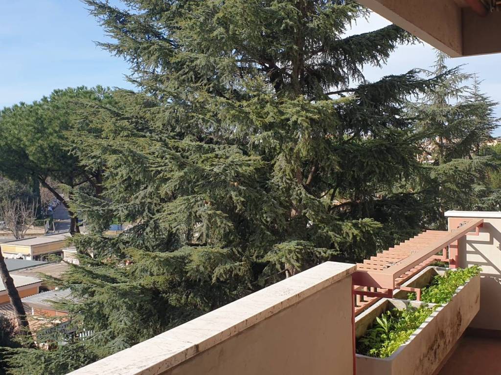 Balcone
