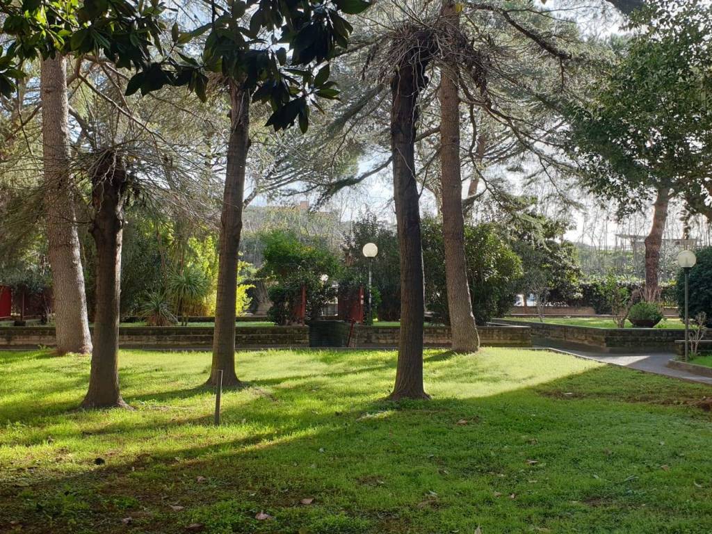 Giardino