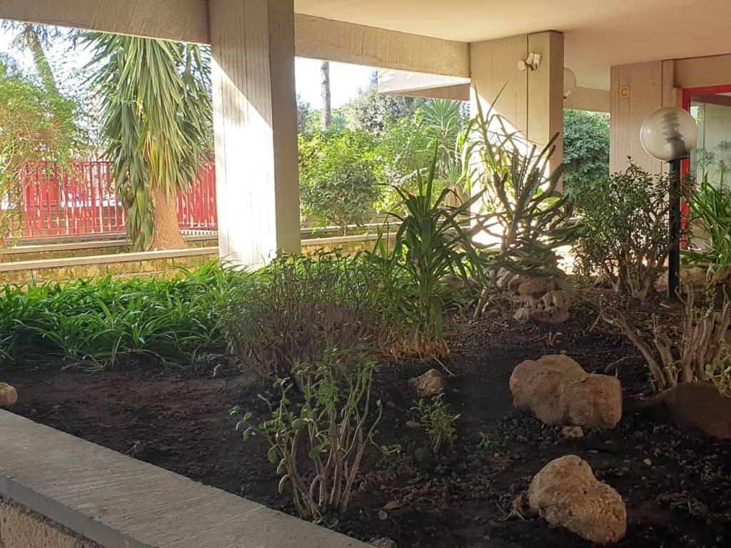 Giardino