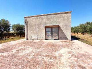 WhatsApp Image 2020-08-28 at 12.29.09(1).jpeg