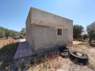 WhatsApp Image 2020-08-28 at 12.29.11(3).jpeg