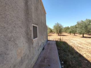 WhatsApp Image 2020-08-28 at 12.29.12(1).jpeg