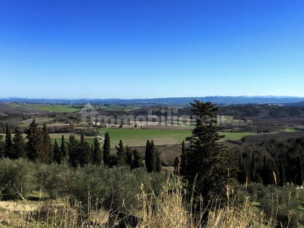 Vista