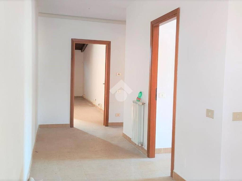 WhatsApp Image 2023-06-26 at 18.10.09