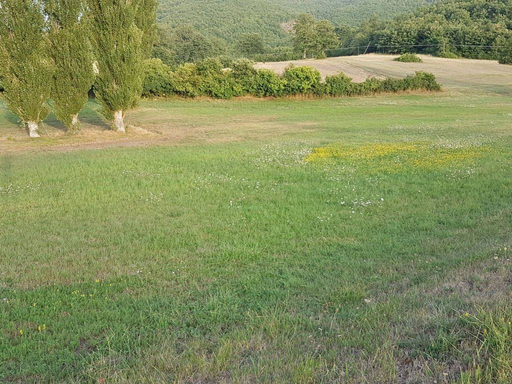 Terreno agricolo strada statale di cascia km 5, cascia