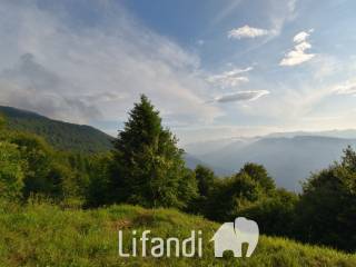 Foto - Vendita Rustico / Casale ottimo stato, Madruzzo, Dolomiti Trentine