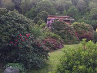 vista dal giardino