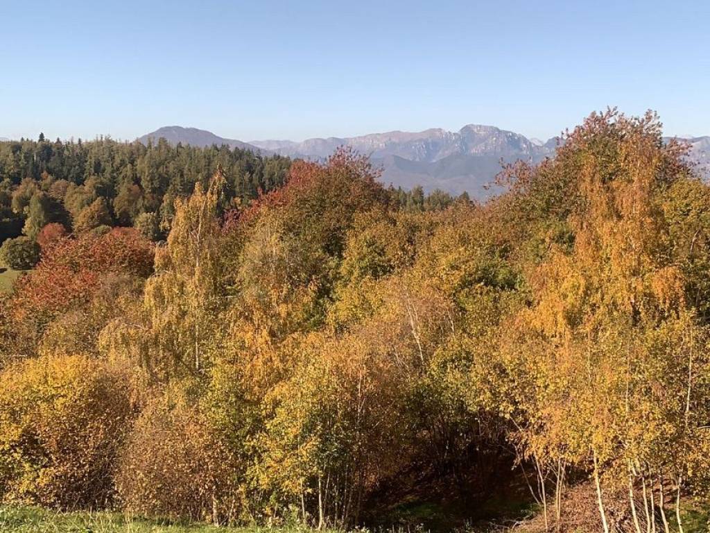 Terreno agricolo, san zeno, san zeno di montagna