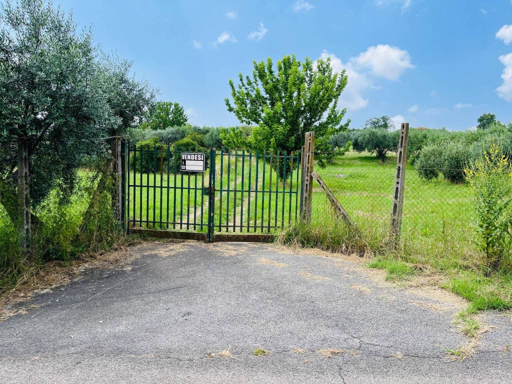 Terreno agricolo via pietrara 49, lanuvio