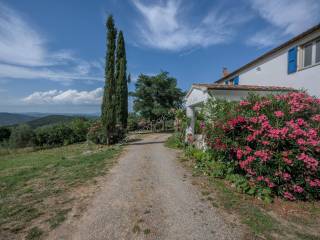 Viale di ingresso