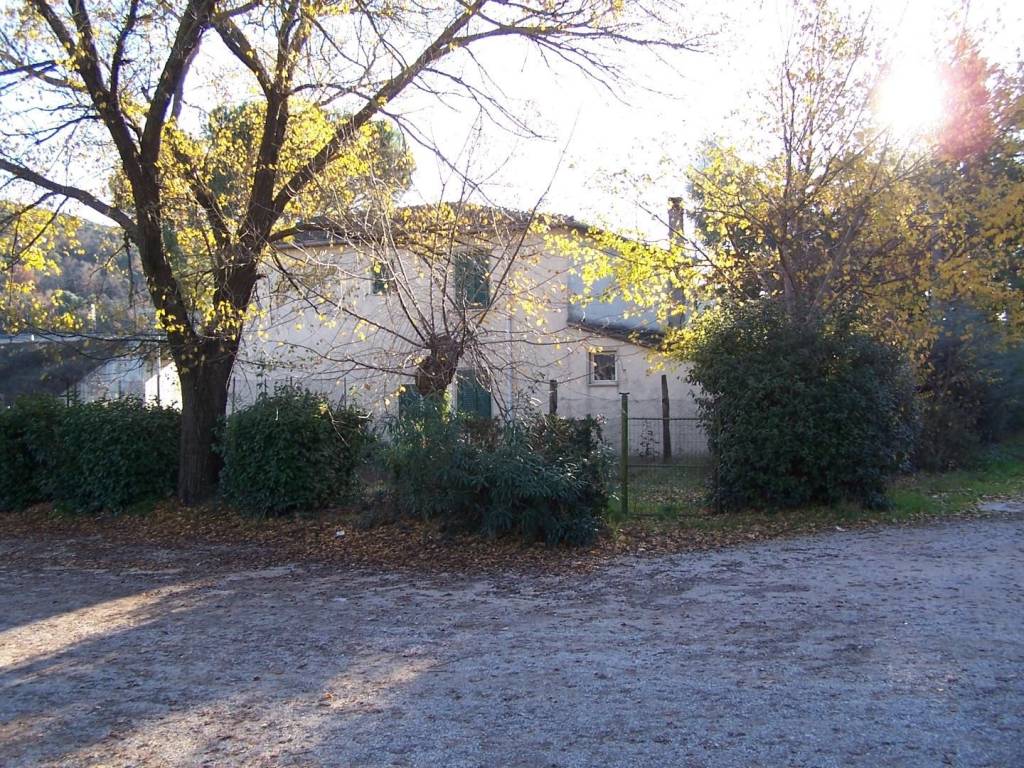 Palazzo - edificio buono stato, campagnatico