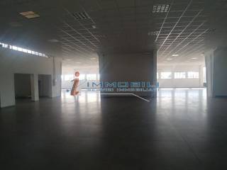 zliu009q