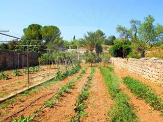 terreno con casale