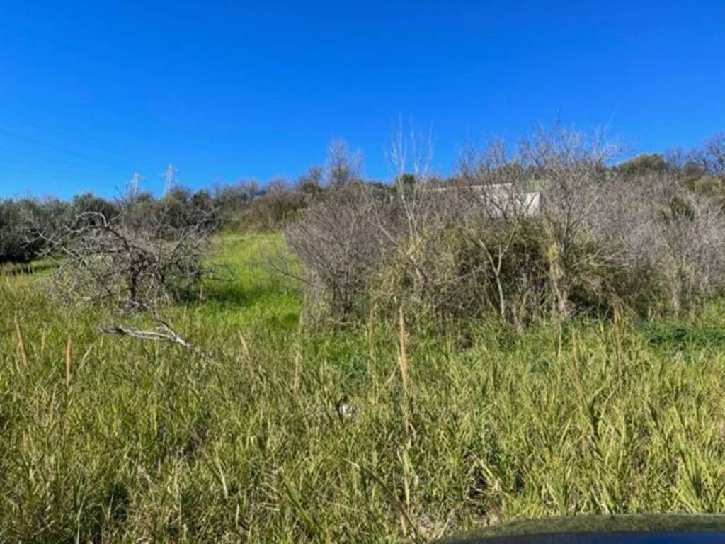 Terreno non edificabile via fuonti san c, centro, agropoli