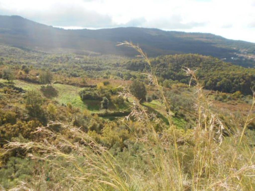 Terreno non edificabile mercato cilento san c, mercato cilento, perdifumo