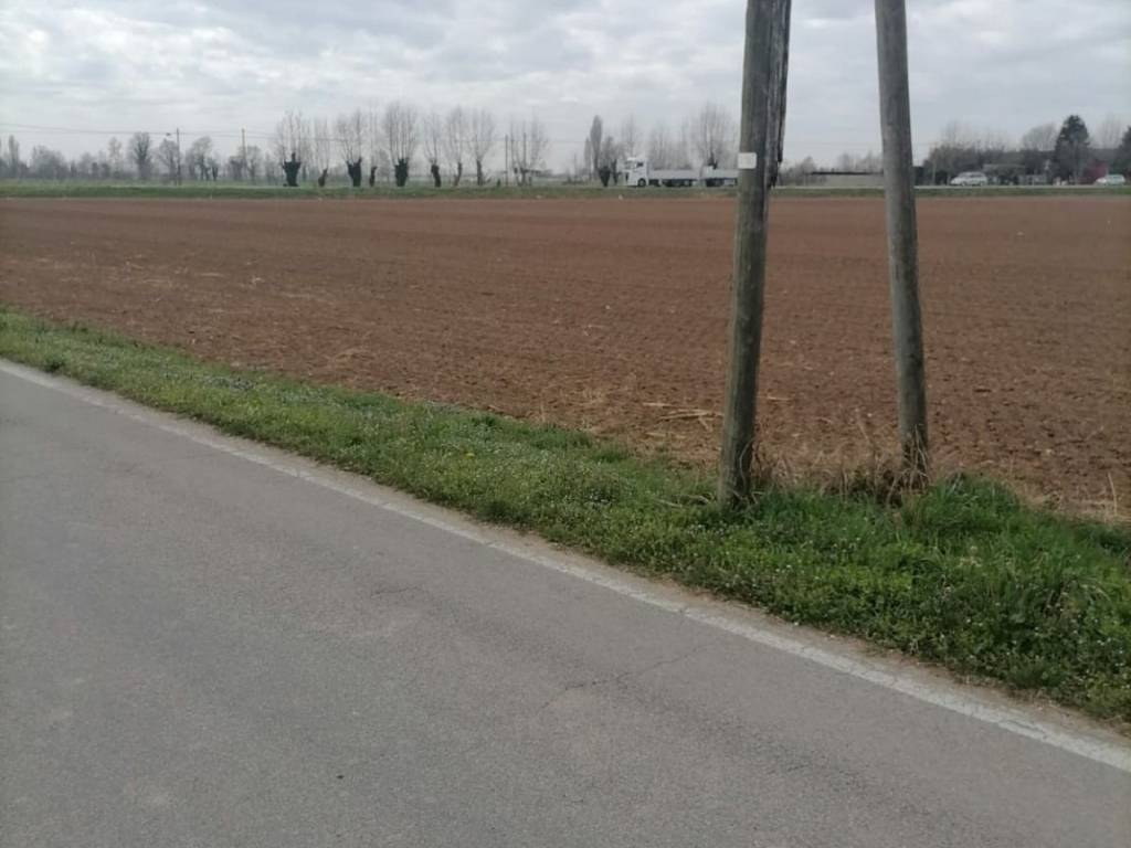 Terreno agricolo, zevio santa maria, zevio