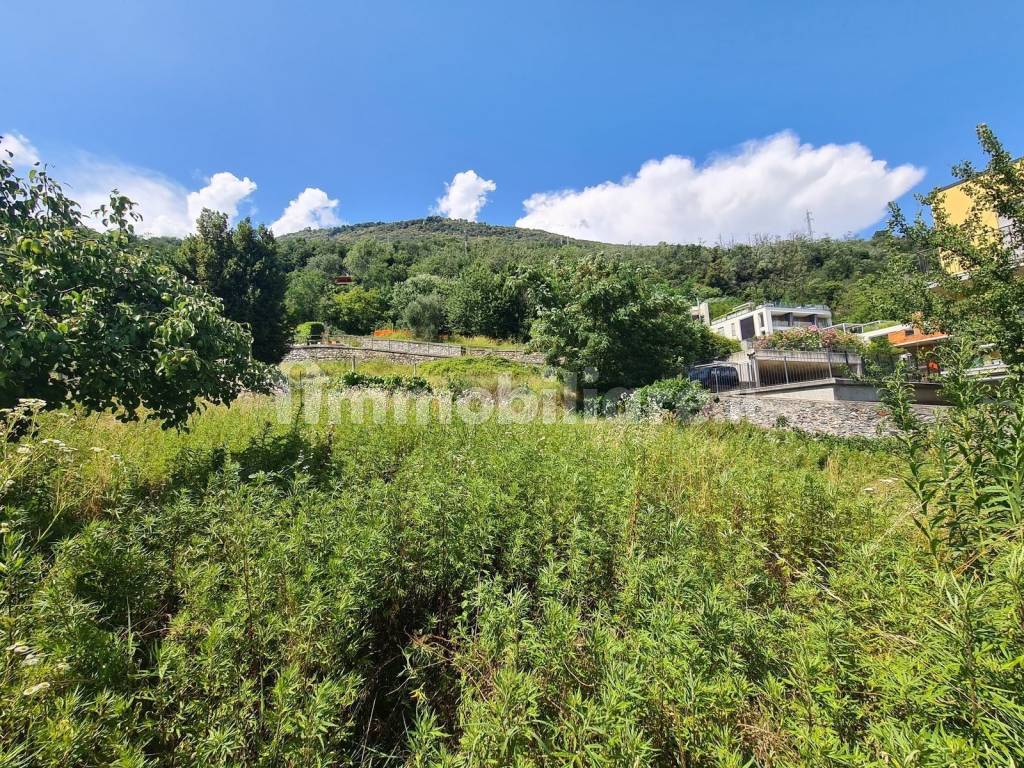 Terreno Edificabile Gera Lario Lago Como Rif.T50 -11_rid