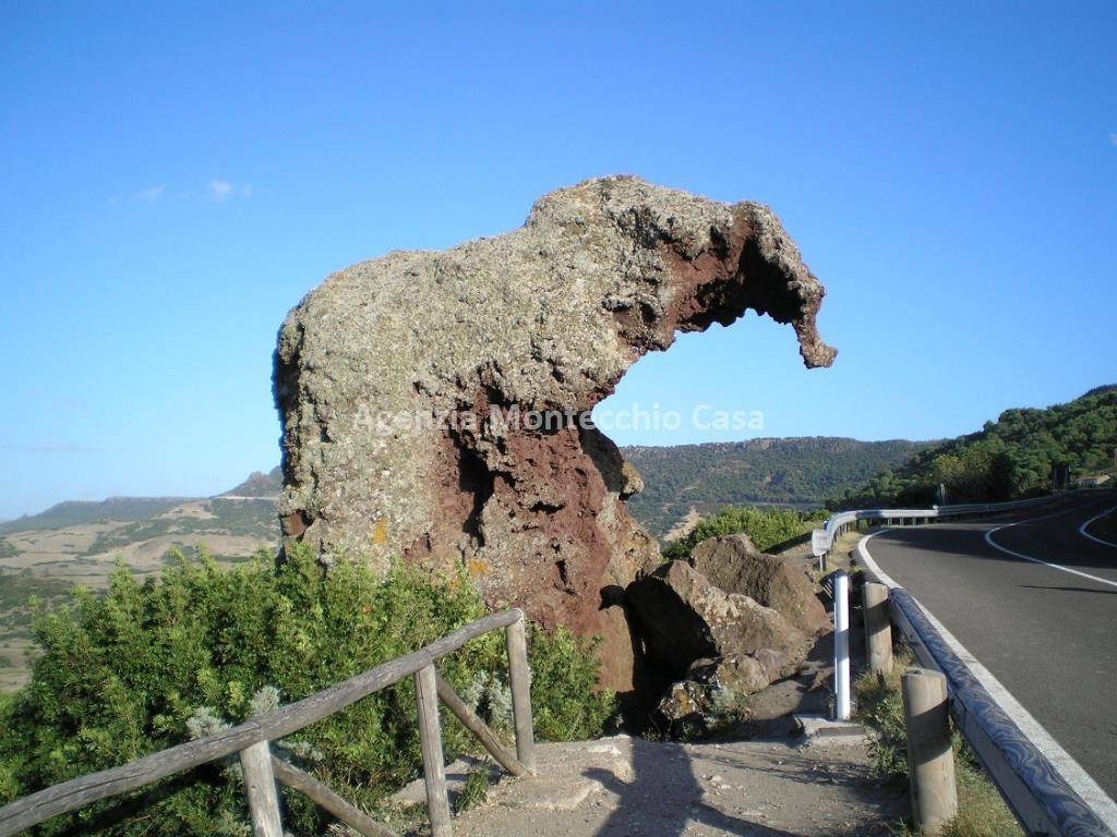 la roccia dell'elefante