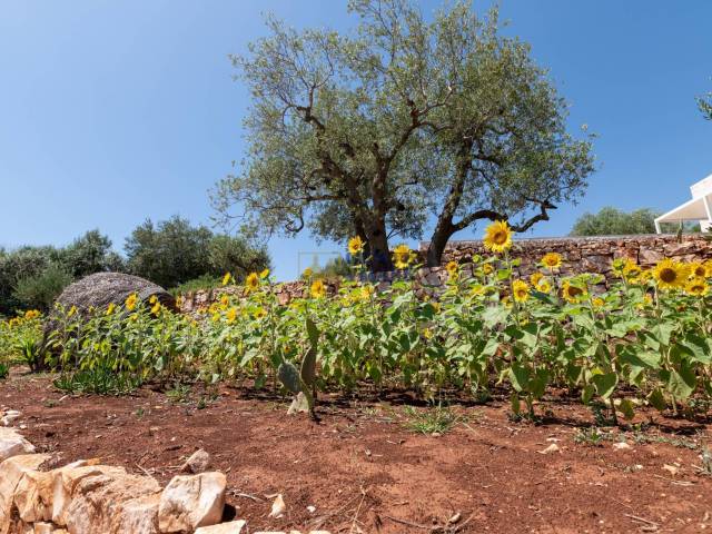 Borgo Bellavista Puglia