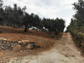 terreno