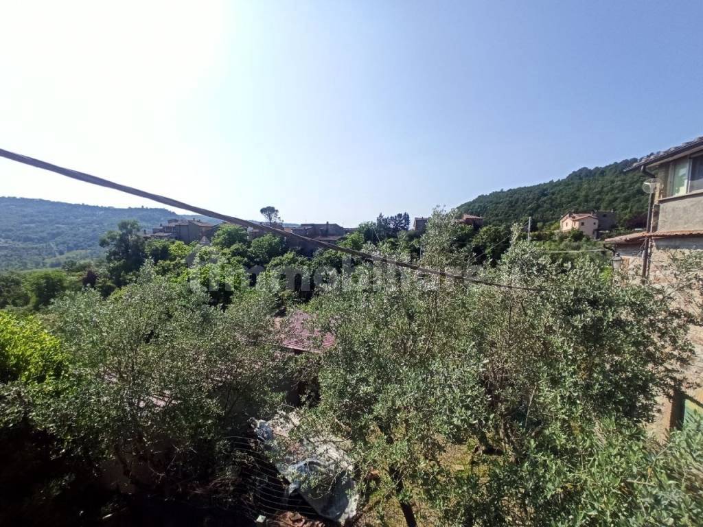 vista panoramica