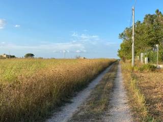 Strada sterrata