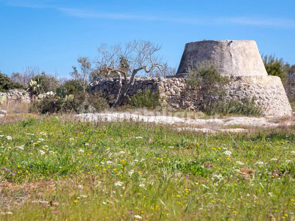 Trullo/Pajara