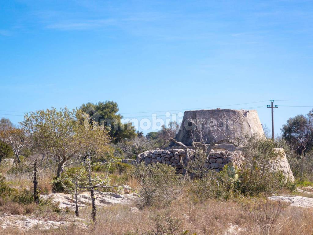 Trullo/Pajara