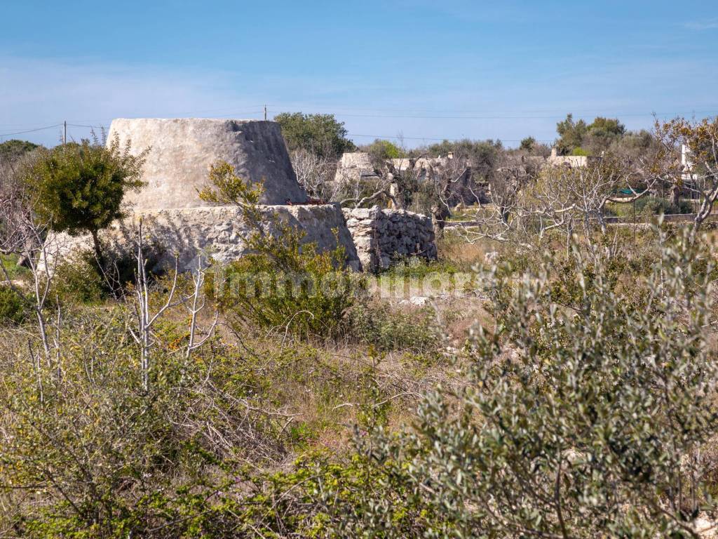 Trullo/Pajara